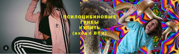 стафф Горняк