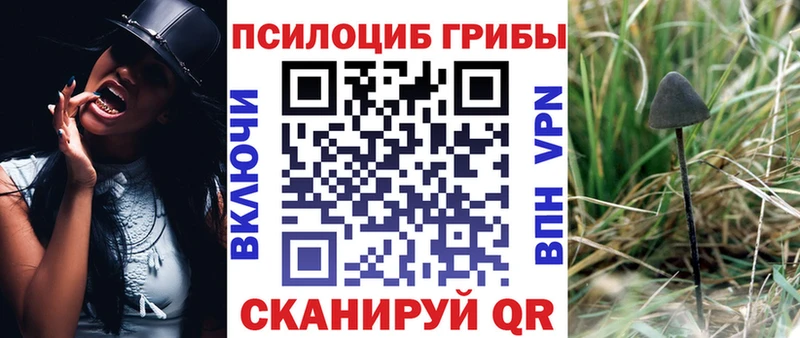 Галлюциногенные грибы Magic Shrooms  Липецк 